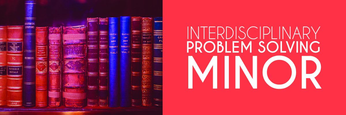 Interdisciplinary problem solving minor